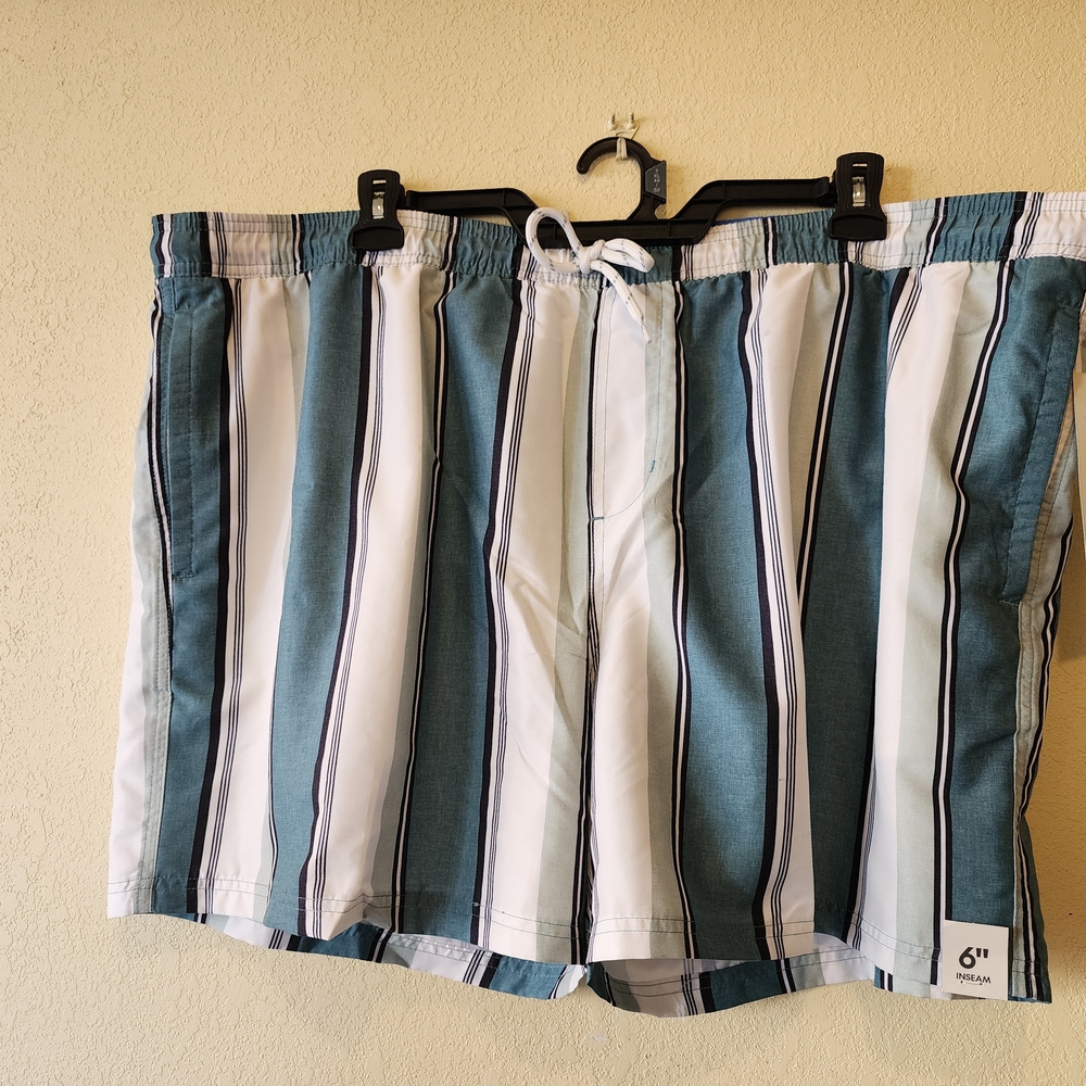 No Boundaries Teal and White Striped Men's Shorts